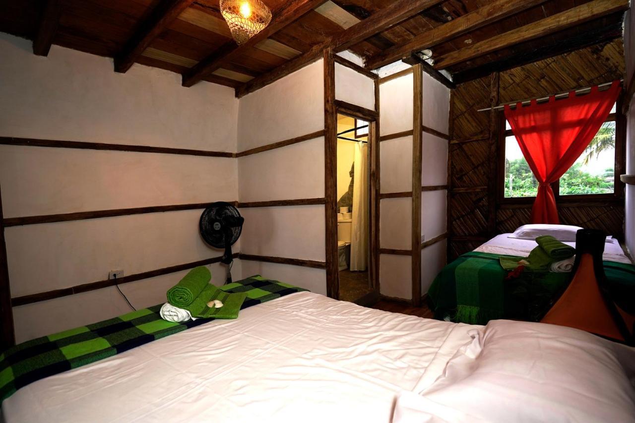 Hostal Olmito Canoa Dış mekan fotoğraf