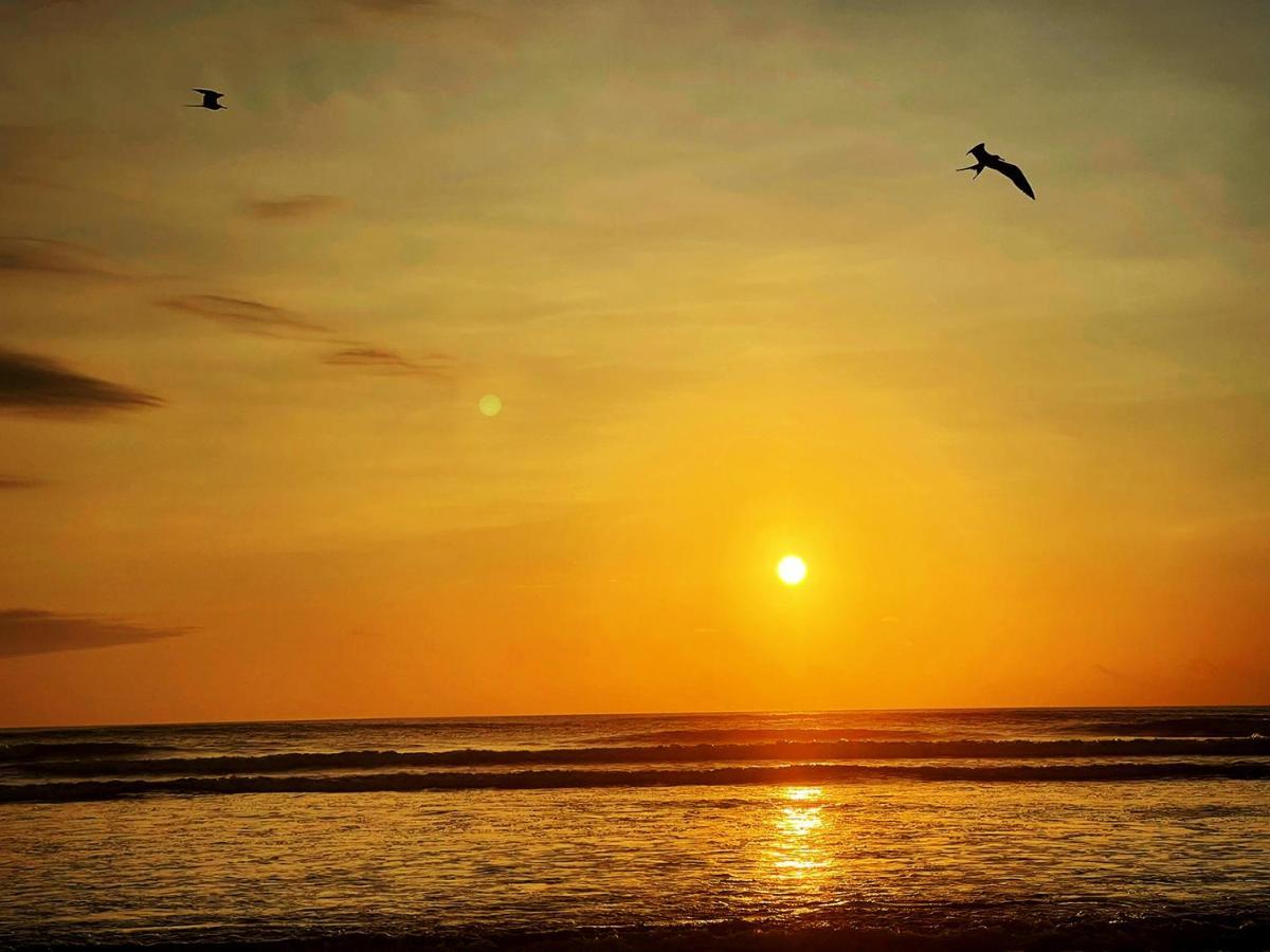 Hostal Olmito Canoa Dış mekan fotoğraf